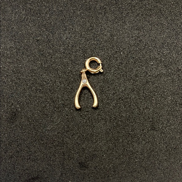Gold Plated Wishbone Charm with Crystal Accent - Picture 1 of 1